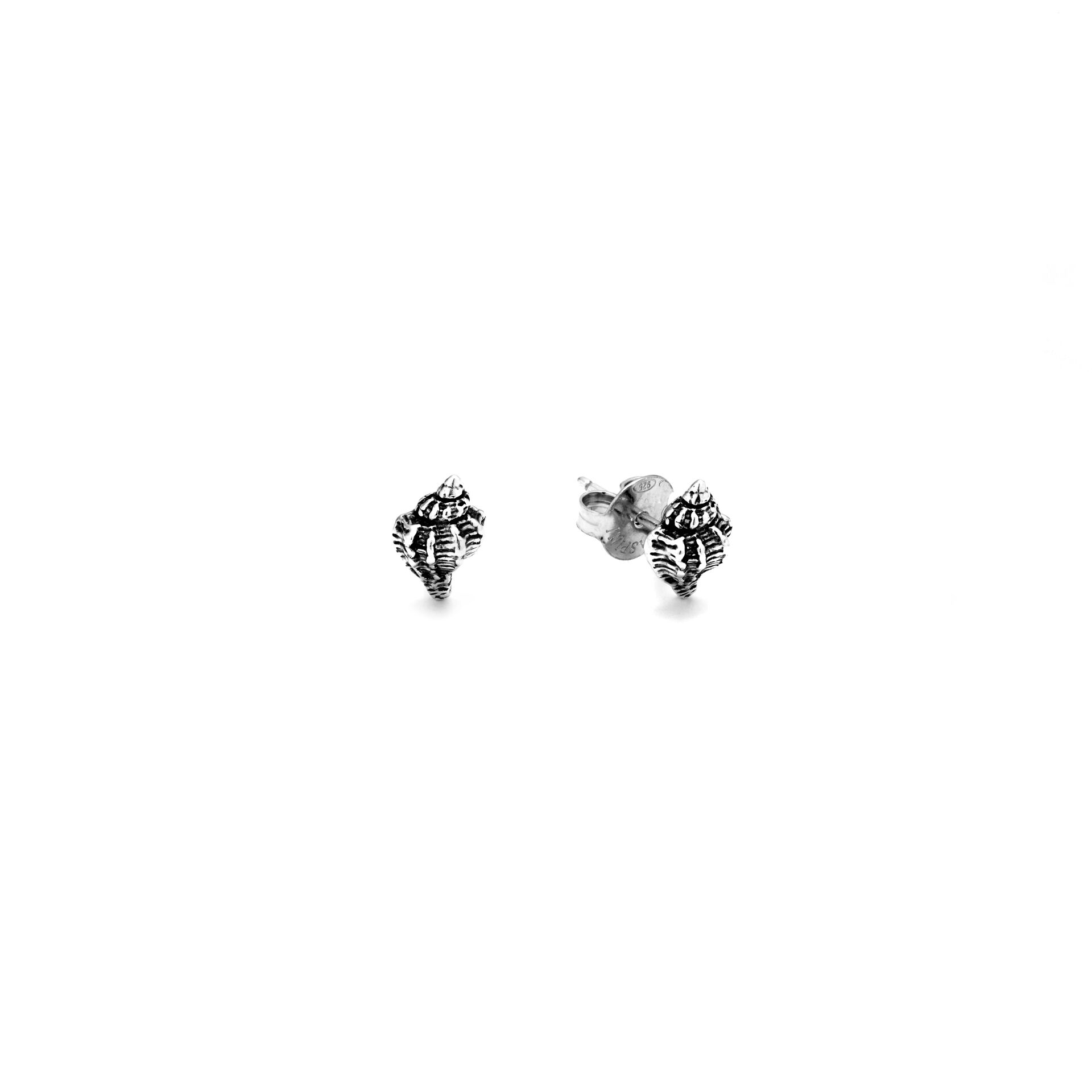 Giovanni Raspini Silver Shell Earrings - Robert Anthony Jewellers, Edinburgh