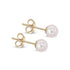 9ct Yellow Gold Akoya Pearl Stud Earrings - Robert Anthony Jewellers, Edinburgh