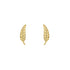 Feather Stud Earrings in 9ct Yellow Gold - Robert Anthony Jewellers, Edinburgh