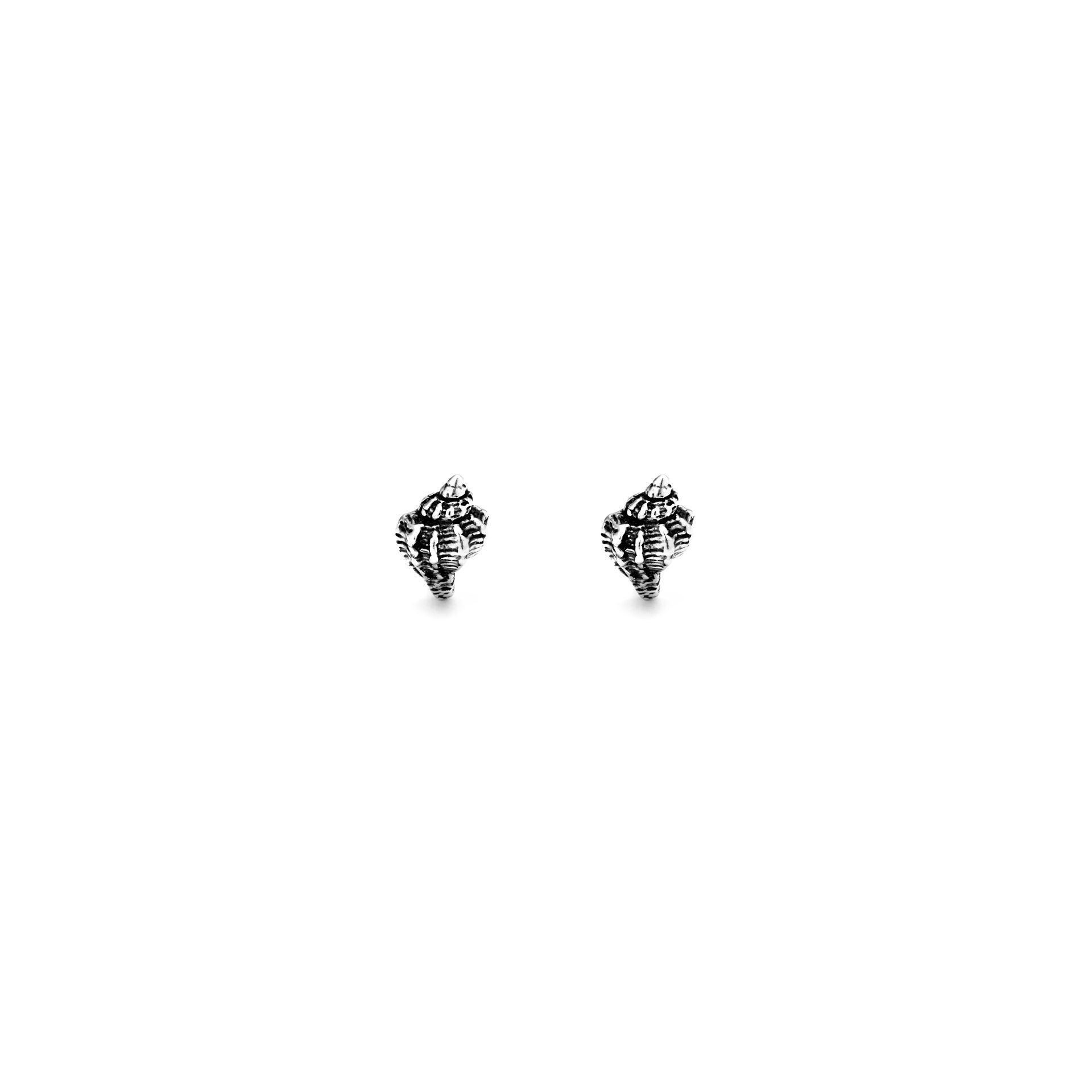Giovanni Raspini Silver Shell Earrings - Robert Anthony Jewellers, Edinburgh