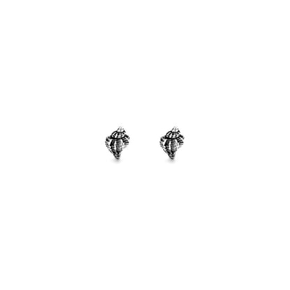 Giovanni Raspini Silver Shell Earrings - Robert Anthony Jewellers, Edinburgh