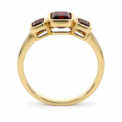 9ct Yellow Gold Octagon Garnet Rubover Set Three Stone Ring