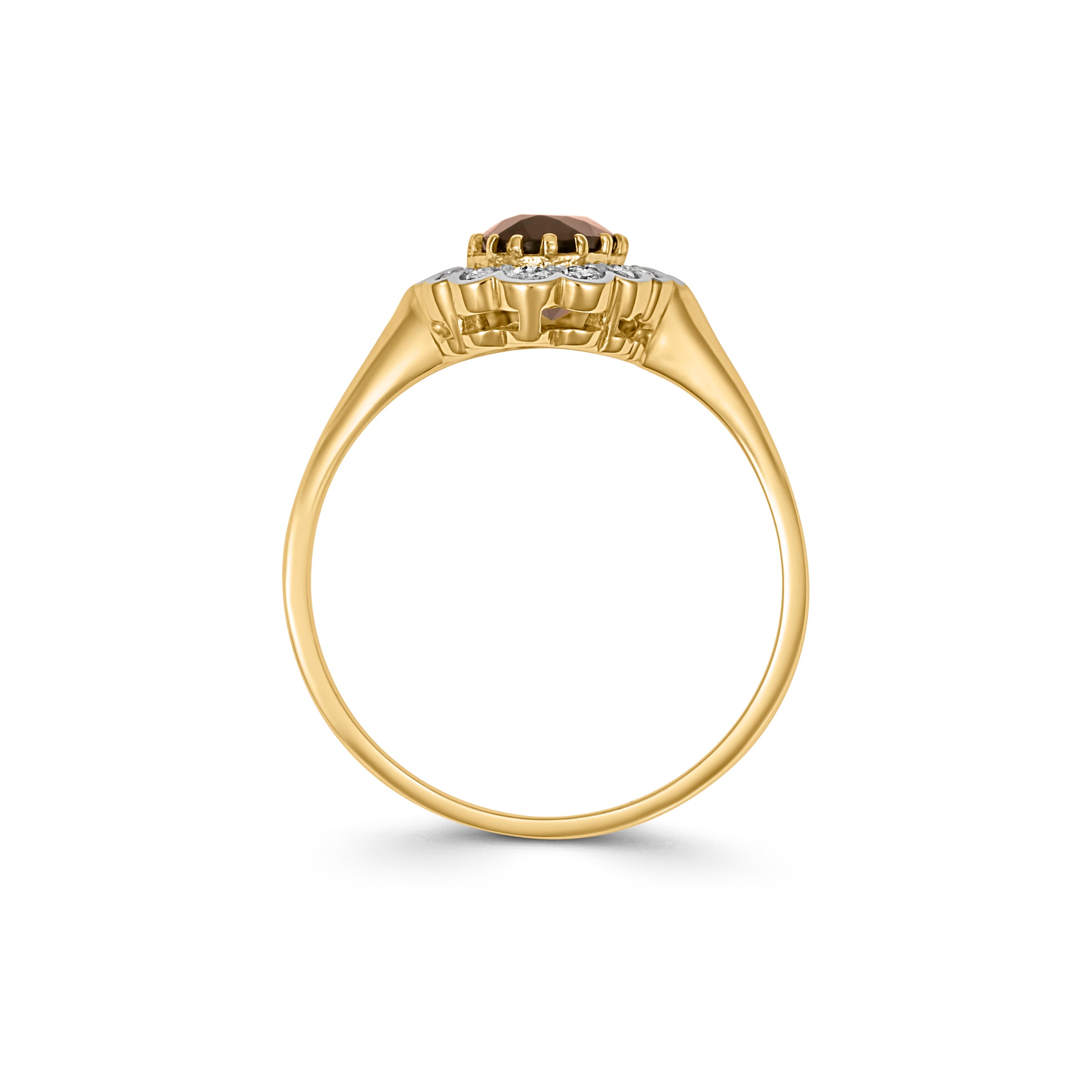 9CT Yellow Gold Garnet Ring with Diamond Halo
