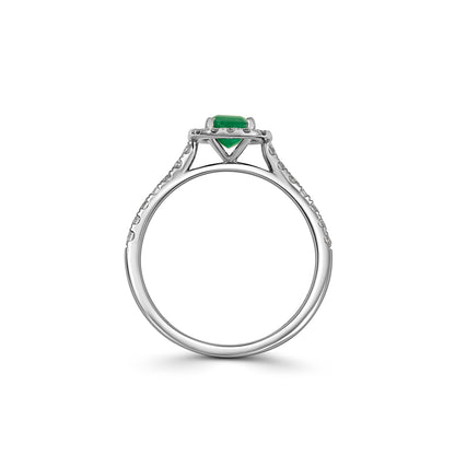 18ct White Gold Emerald and Diamond Halo Cluster Ring
