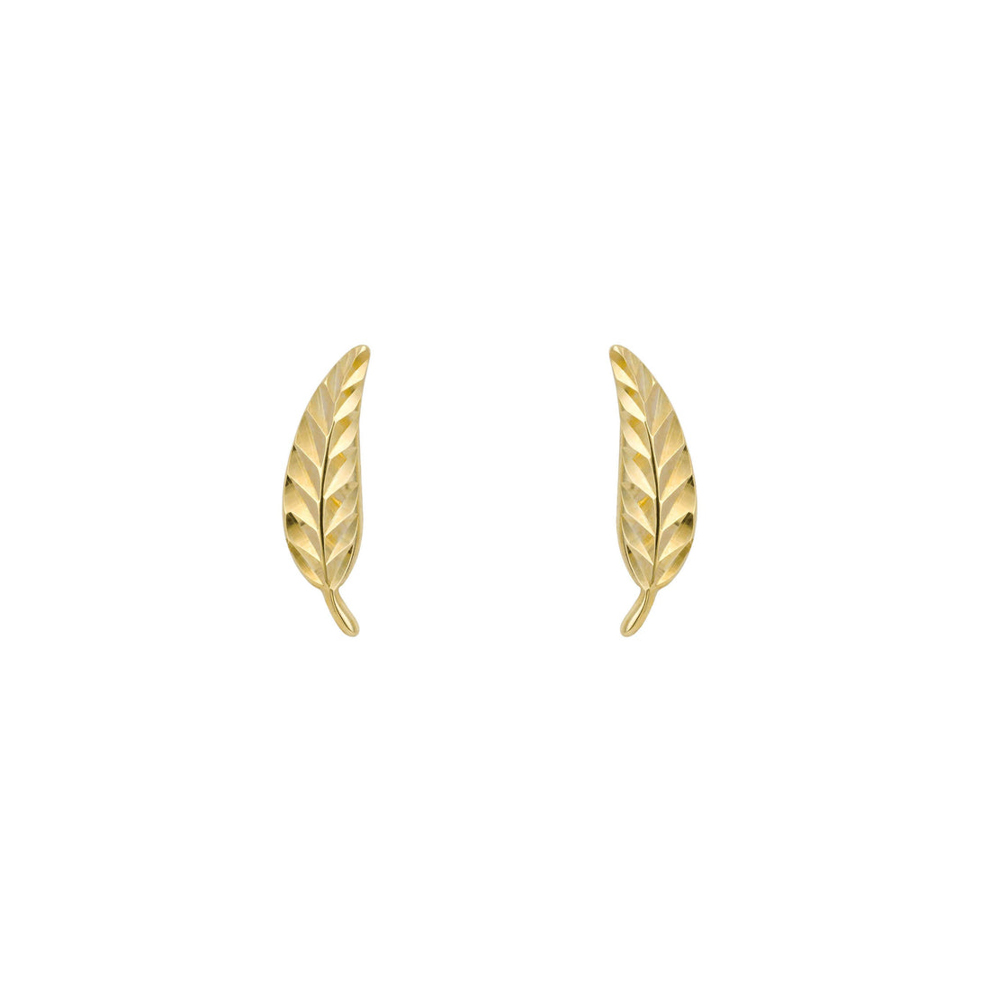 Feather Stud Earrings in 9ct Yellow Gold - Robert Anthony Jewellers, Edinburgh