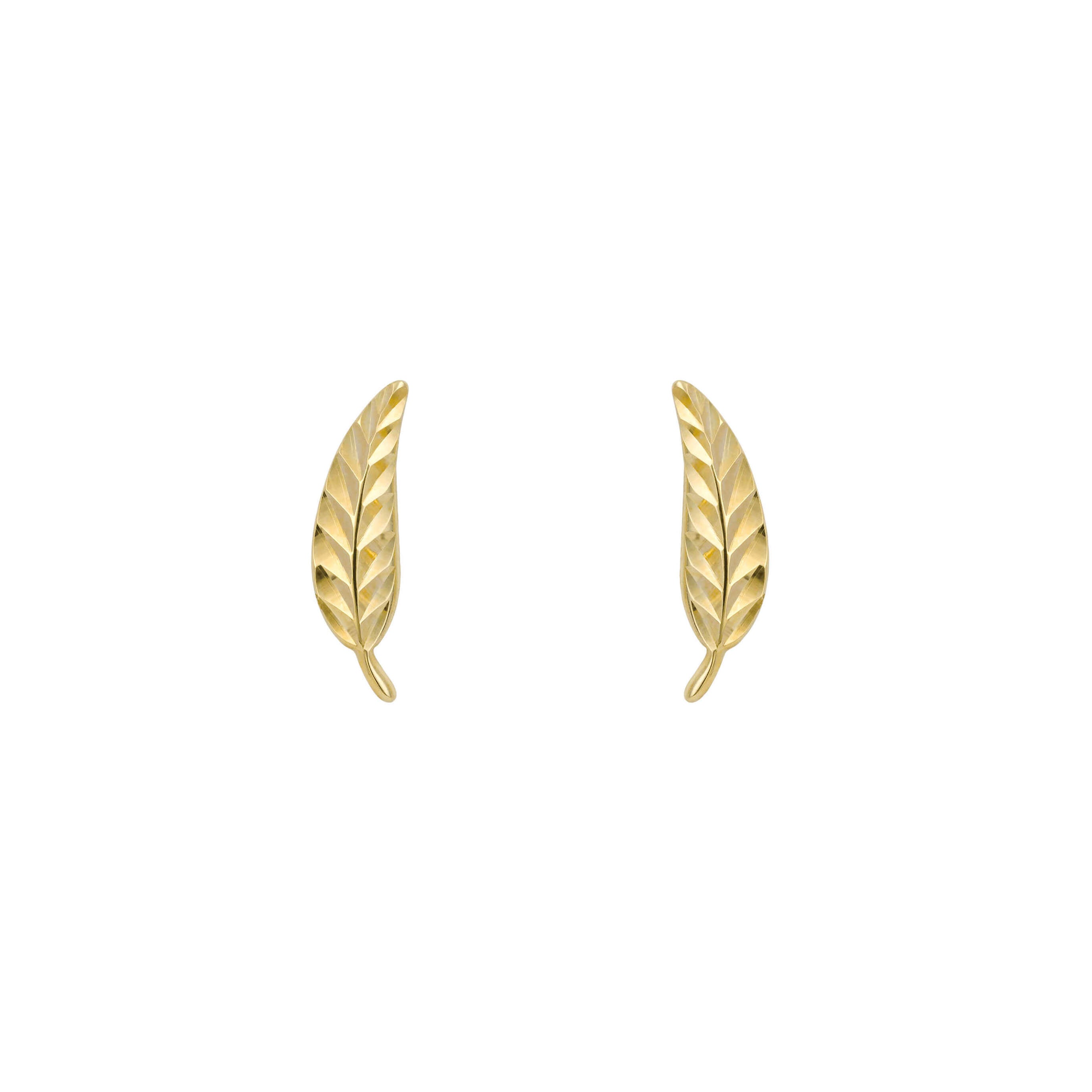 Feather Stud Earrings in 9ct Yellow Gold - Robert Anthony Jewellers, Edinburgh